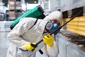 Best Fumigation Services  in Mbrian Park, CA